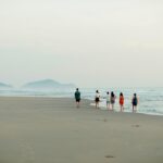 Major corruption scandal exposed after documents leaked online young, sea, nature, friend, outdoors, beach, friends, people